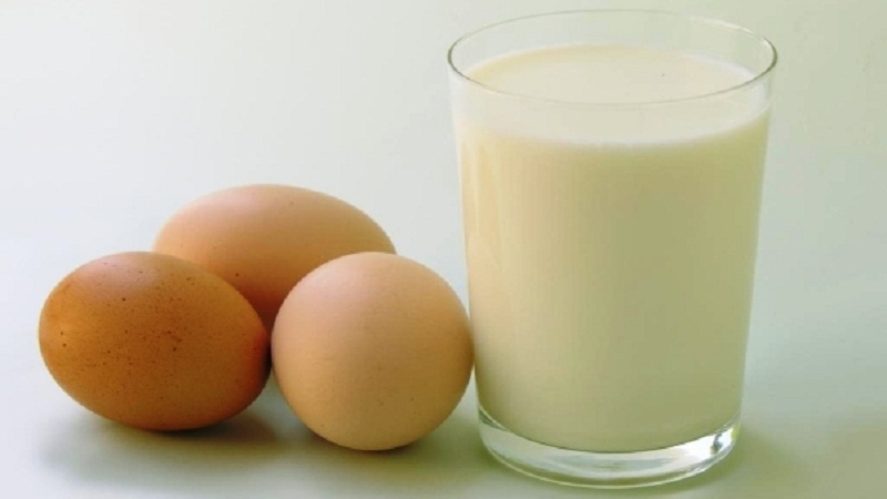 Sữa và trứng